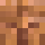 CoreOfCopper Minecraft head