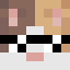 DRCAT5041 Minecraft head