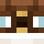 Emilhuld11 Minecraft head