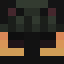 Gato_Pulgoso Minecraft head