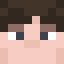 Havrefras Minecraft head