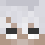 Miezul Minecraft head