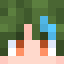 Nizo_ZR Minecraft head