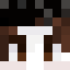 Noctobright Minecraft head