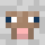 Pelxa Minecraft head