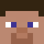T0M8912P Minecraft head
