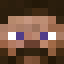 T309 Minecraft head