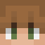 Tosfoy Minecraft head
