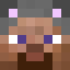 Trolling Minecraft head