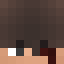Verles Minecraft head
