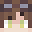 Virtual_Pixels Minecraft head