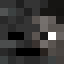 Wihter30500 Minecraft head