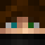 brawerman25 Minecraft head