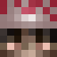 pyb Minecraft head