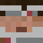 slowwv Minecraft head