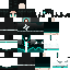 {username} skin
