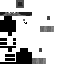 {username} skin