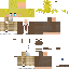 {username} skin