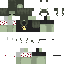 {username} skin