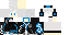 {username} skin