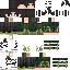 {username} skin
