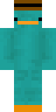 Skin de AgiAj