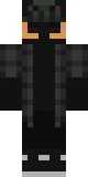 Скин Gato_Pulgoso