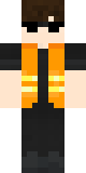 Skin de Goofpin_