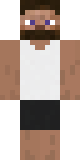 Skin de T309