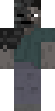 Skin de Wihter30500