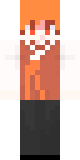 Skin de _pori_