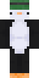 {username} skin