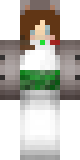 Skin de supersushi0531
